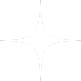 Star decoration